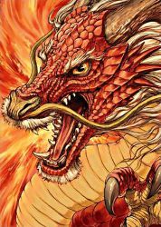 Ag 127 Алмазная мозаика Гранни "Китайский дракон"