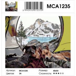МСА1235 Картина по номерам  "Путешествие с собаками",  40х50 см