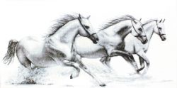 B495 Набор для вышивания Luca-S "Белые лошади"
