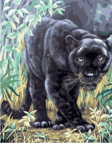  Картина по номерам Paintboy "Черная пантера" МСА659